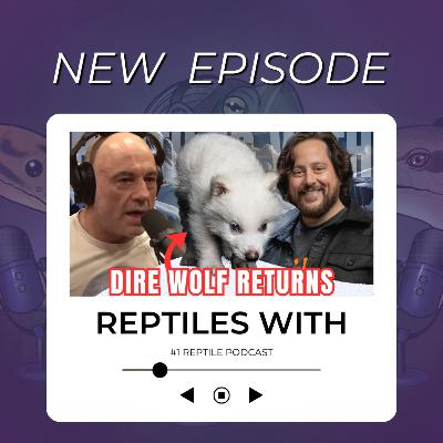 DIRE WOLF IS BACK FROM EXTINCTION!! or not? Colossal Scientific Breakthrough | Reptiles With Podcast