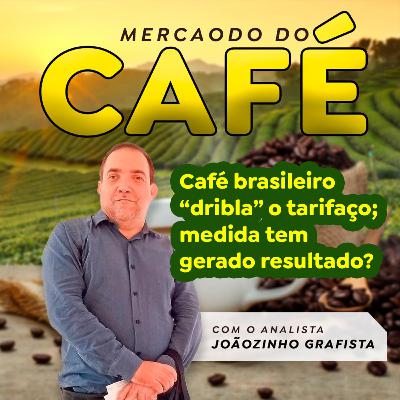 Café brasileiro “dribla” o tarifaço; medida tem gerado resultado?