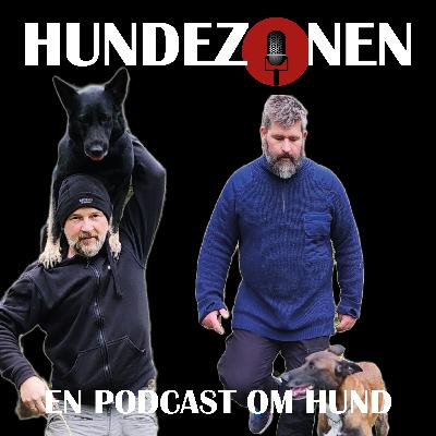 Hvorfor leke med hunden