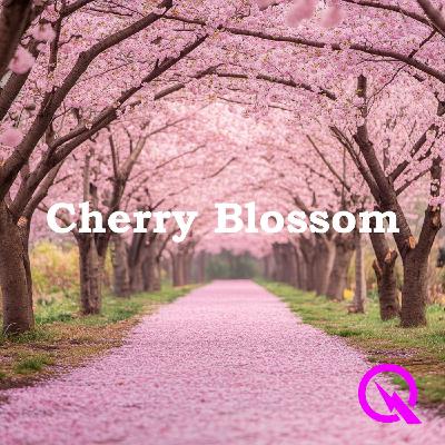 Blooming Beyond Borders- The International Story of Cherry Blossoms