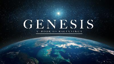 Why Noah?, Part 2