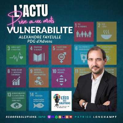 VULNERABILITE Alexandre Fayeulle