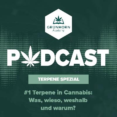 #1 Terpene in Cannabis: Was, wieso, weshalb und warum?
