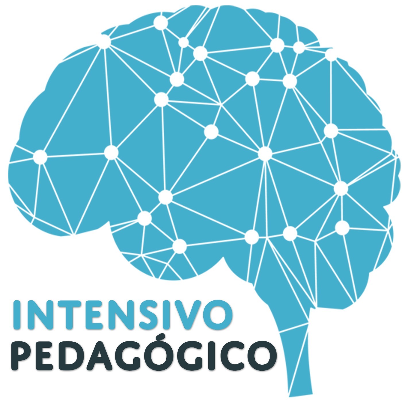 Intensivo Pedagógico