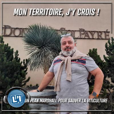 UN PLAN MARSHALL POUR SAUVER LA VITICULTURE UN PLAN MARSHALL POUR SAUVER LA VITICULTURE