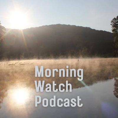 Coming Down From the Mountaintop - Lee Shamblin