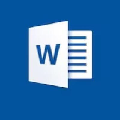 Word Interconectado. optimización de la redacción técnica y estadística