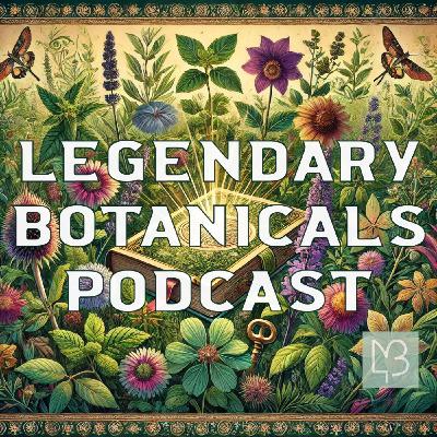 Elecampane: Unveiling the Healing Secrets of Helen of Troy’s Legendary Botanical