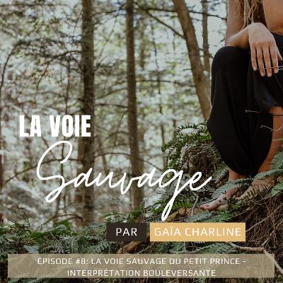 #8 La Voie Sauvage du Petit Prince - interprétation bouleversante #8 La Voie Sauvage du Petit Prince - interprétation bouleversante