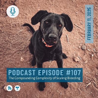 #107 - Do More Puppies Mean More Profit?