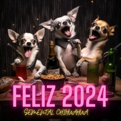 ¡Especial Feliz 2024!