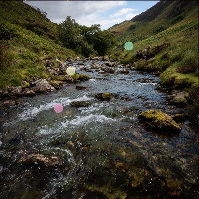 Río de Corriente Rápida con Canto Natural de Aves