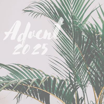 Advent 2025 - PT 5