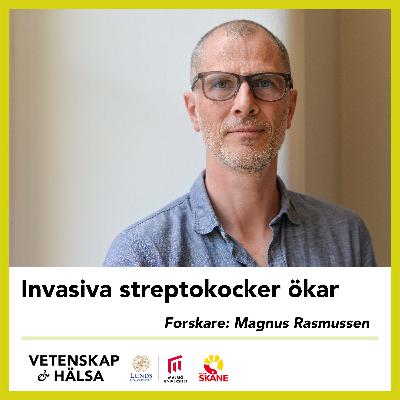 Invasiva streptokocker ökar