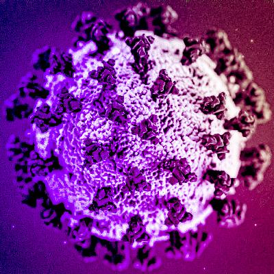 EP4. Lockdowns: "Thinking in One Dimension," with guest Professor Sunetra Gupta.