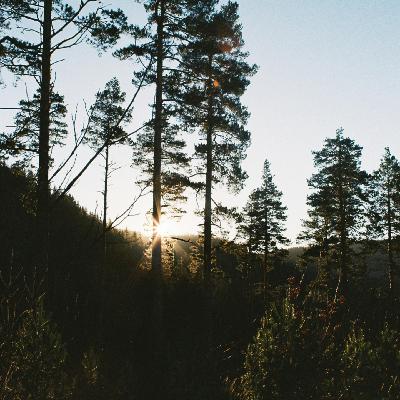 EP123丨「杂念」影响命运