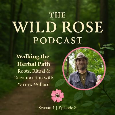 Walking the Herbal Path: Roots, Ritual & Reconnection with Yarrow Willard