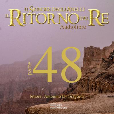 Libro V, Capitolo VI - La battaglia dei campi del Pelennor (The Battle of the Pelennor Fields) Libro V, Capitolo VI - La battaglia dei campi del Pelennor (The Battle of the Pelennor Fields)