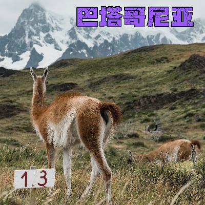 20. 巴塔哥尼亚(下)！狂风、冰川、美洲狮，欢迎来百内徒步 | 智利