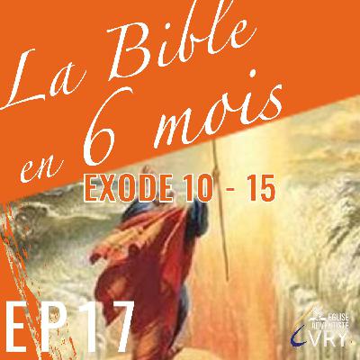 LA BIBLE EN 6 MOIS épisode 17 : Exode 10 - 15 LA BIBLE EN 6 MOIS épisode 17 : Exode 10 - 15