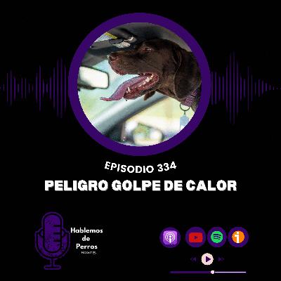 EP#334: Golpe de calor