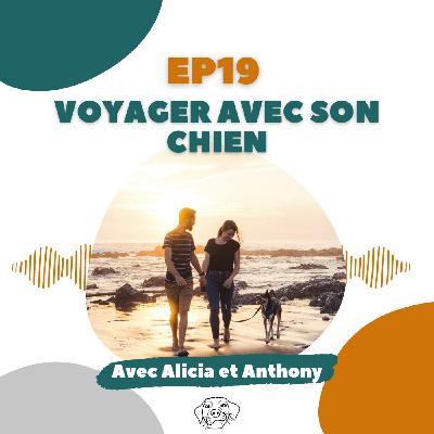 #REDIFF - TWIP : Voyager avec son chien