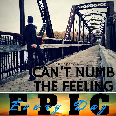 Can't Numb the Feeling