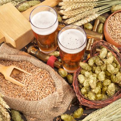 Ingredientes complementarios para hacer cerveza