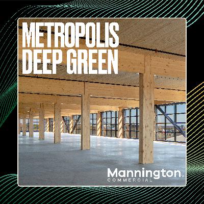 Timber: Why Architects Are All in on Wood