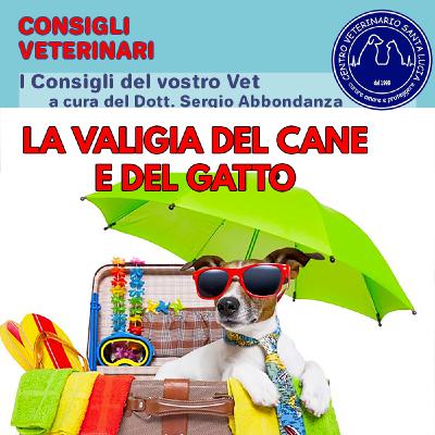 18 la valigia del tuo cane o gatto per le vacanze