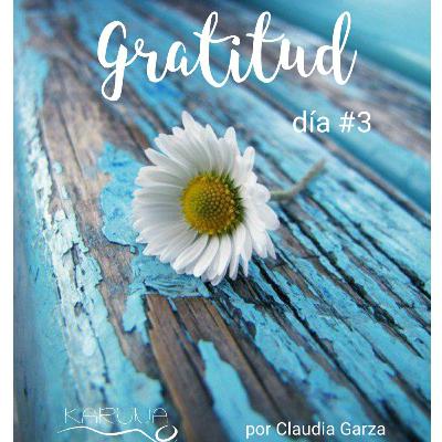 Gratitud dia#3 Las pequeñas cosas Gratitud dia#3 Las pequeñas cosas