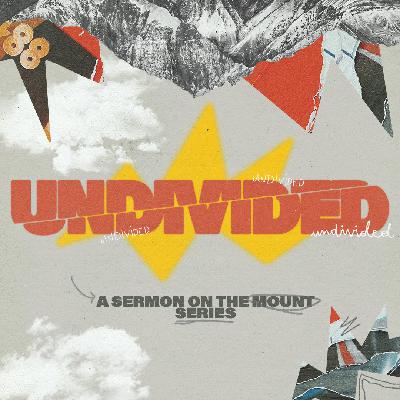 Undivided | Week 3