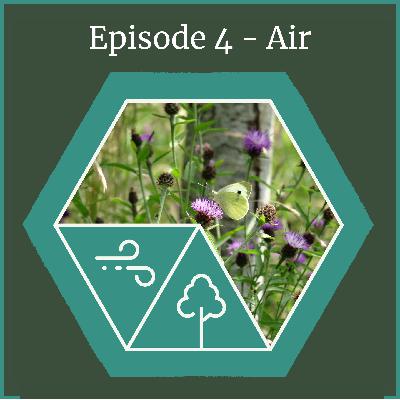 Agroforestry Through the Elements - Air
