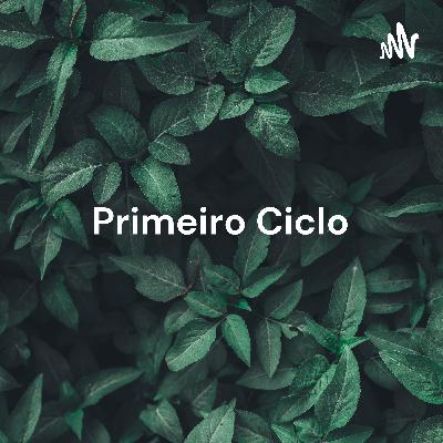 Primeiro Ciclo - Teoria do Estado e da Constituição