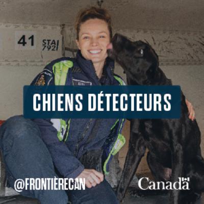 Épisode 01 : Chiens Détecteurs Épisode 01 : Chiens Détecteurs