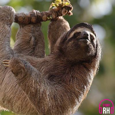 L’esprit critique, ce n’est pas le problème L’esprit critique, ce n’est pas le problème