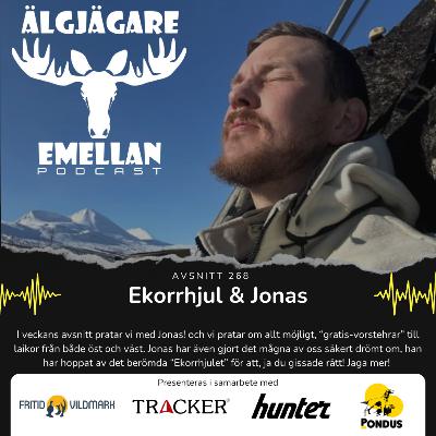268. Ekorrhjul & Jonas 268. Ekorrhjul & Jonas