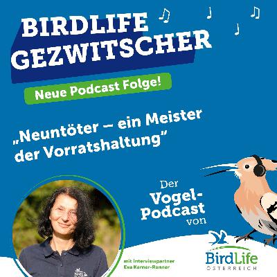 74. Neuntöter: Ein Meister der Vorratshaltung