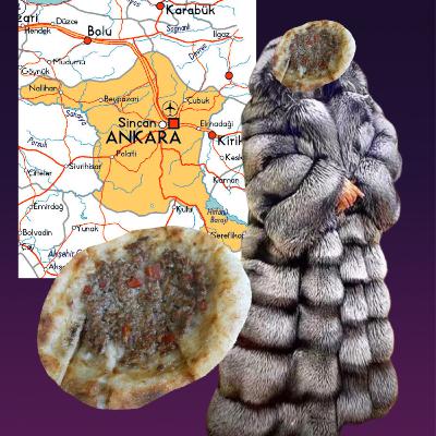 Ankara’dan Misafir Geldi