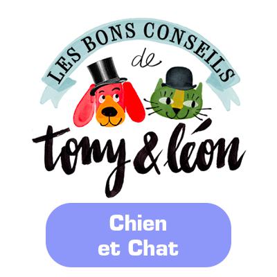 Races de chats cardiaques ? 🐱
