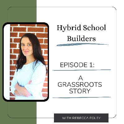 A Grassroots Hybrid School Story: Introduction
