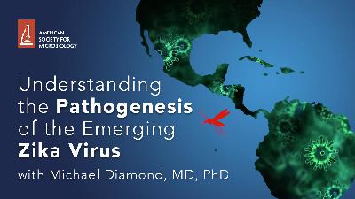 MWV 105 -  - Understanding the Pathogenesis of the Emerging Zika Virus (Audio Only)