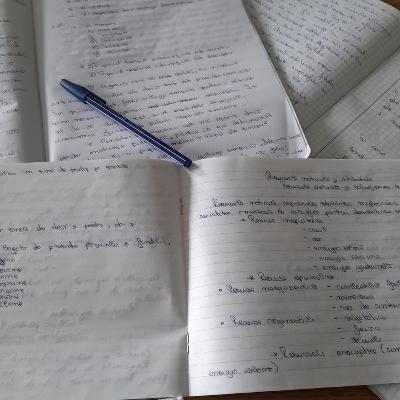 Episodul 4 - Școala în pandemie