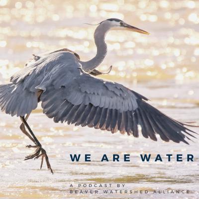 Ep 25: Wildlife Stewardship Plans with Daniel Hagood