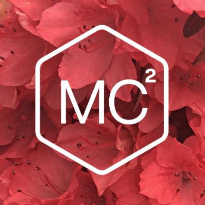 592. A 7-Minute Guided Meditation for Mornings