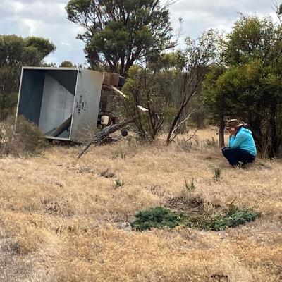 Episode 70 - Feed trailers and the latest  Farming Ahead edition With Kondinin groups Ben White
