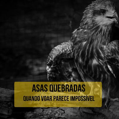 #13 Asas quebradas - Quando voar parece impossível