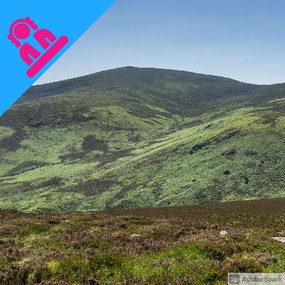 Go Green Or Go Home - Friends of The Irish Environment Go Green Or Go Home - Friends of The Irish Environment