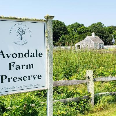 Mini Bioblitz with the Westerly Land Trust