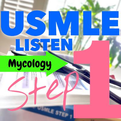 MICROBIOLOGY CHAPTER 8: ALL ABOUT FUNGI!